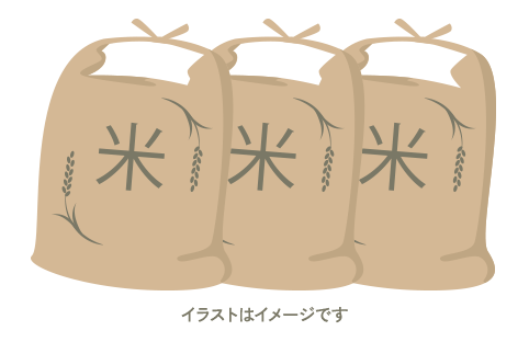 北海道産米10キログラム（直接引き取り）