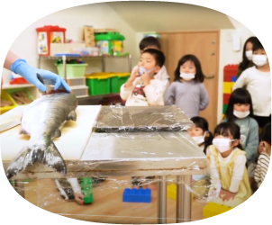 鮭の解体ショー（認定こども園）